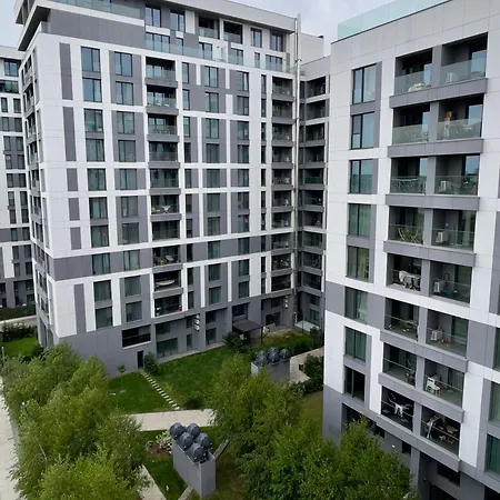 Northern Sky - Cloud 9